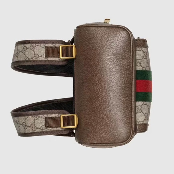 Fabulous Gucci backpack you will be the one smartest in the class !!!! - Picture 2 of 11